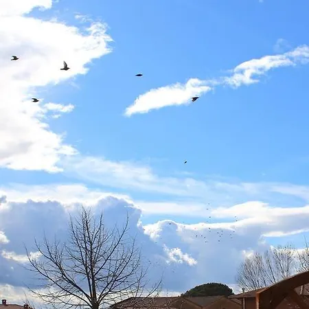 דירה Vacanze Magnolia E Glicine