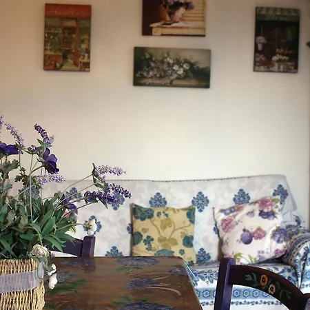 Vacanze Magnolia E Glicine